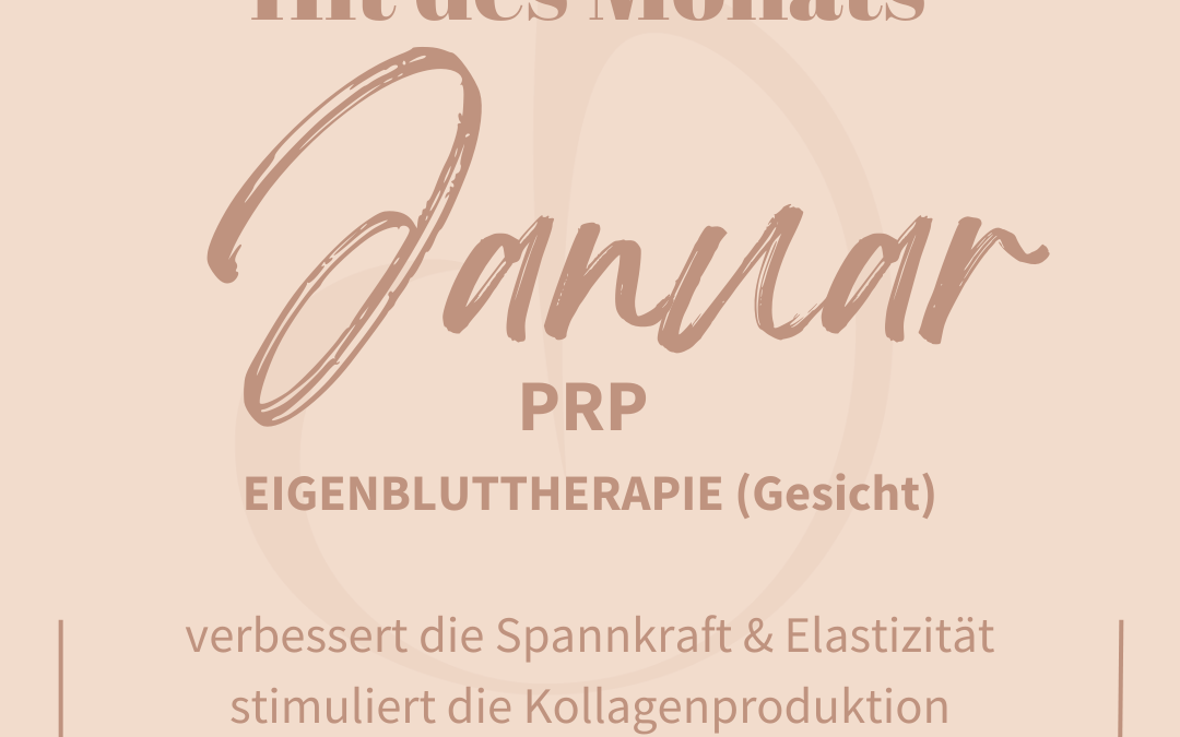 Hit des Monats