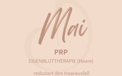 Hit des Monats